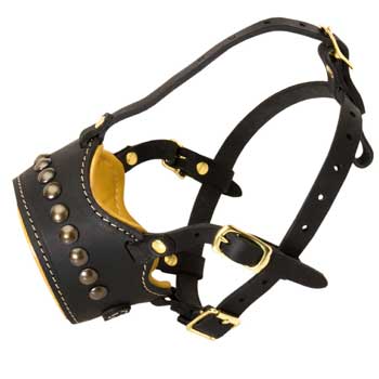 Padded Muzzle for Boxer