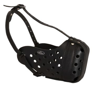 Training Leather Dog Muzzle for Boxer