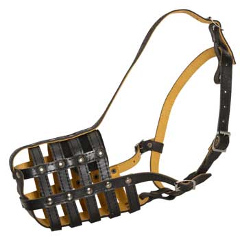 Adjustable Muzzle for Boxer