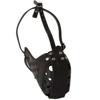 Leather Dog Muzzle for Agitation Training