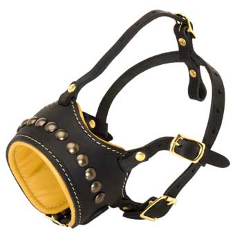 Boxer Muzzle for Walking