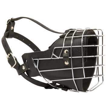 Padded on the Nose Boxer Muzzle