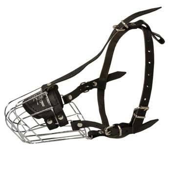 Wire Cage Muzzle for Training Boxer Working Dogs